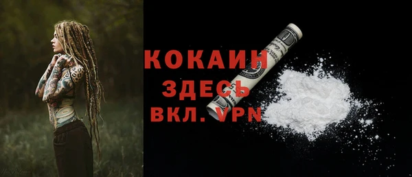 молекула духа Куйбышев