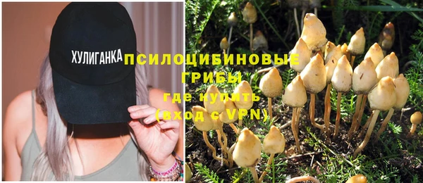 соль курить ск Кулебаки