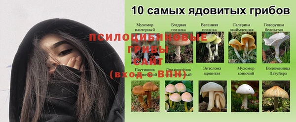apvp Краснослободск