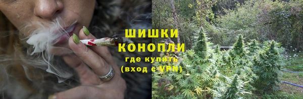 молекула духа Куйбышев