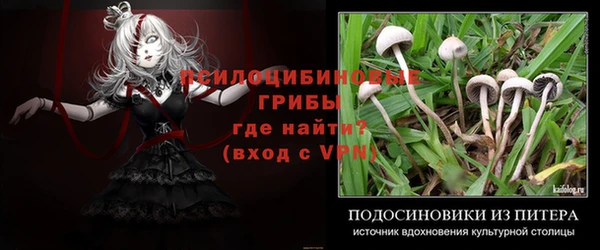 молекула духа Куйбышев